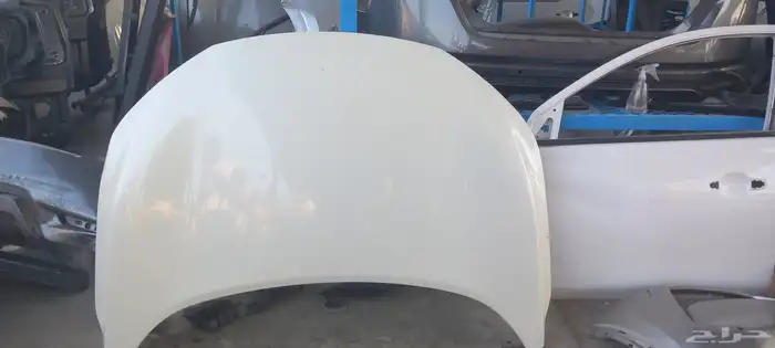 كبوت ابيض اكستريل 2023 0