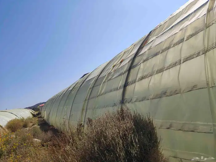 4 بيوت محميه 2 فرنسي مجلفن 4وصل و 2وطني مقسمه 3بيوت 7