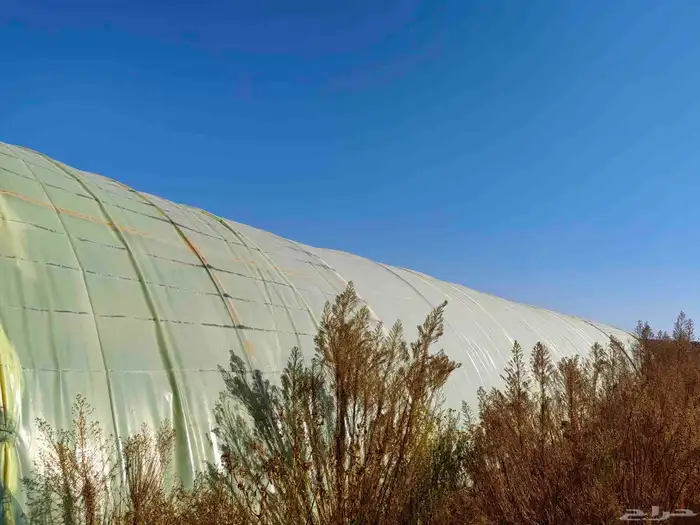 4 بيوت محميه 2 فرنسي مجلفن 4وصل و 2وطني مقسمه 3بيوت 5