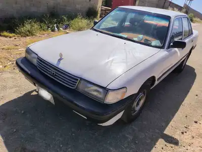 كرسيدا 95 index