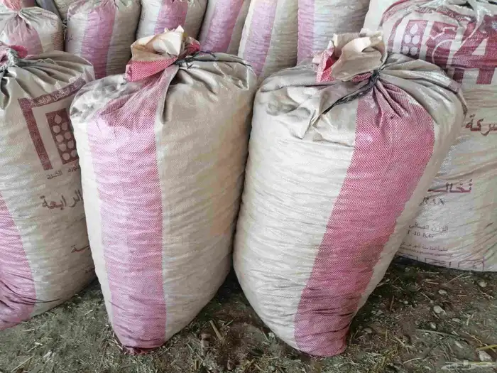 تمر علف عدد 1000 كيس شعير وطحين للبيع جملة وتفريد 5