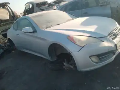 جنسس كوبيه 2013 index