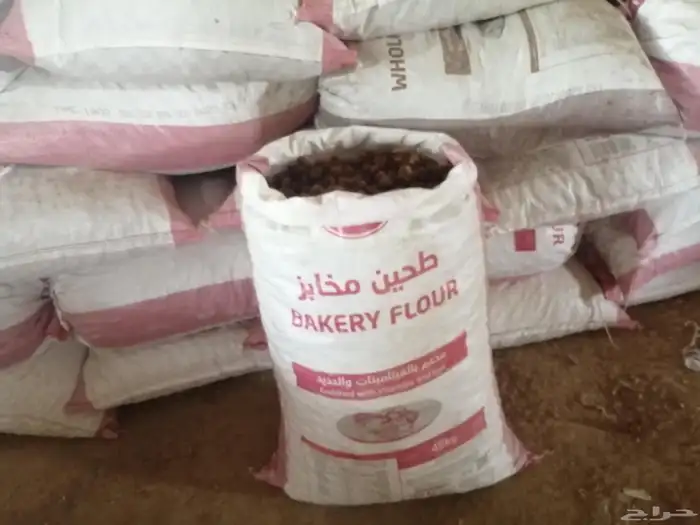 تمر علف عدد 1000 كيس شعير وطحين للبيع جملة وتفريد 8