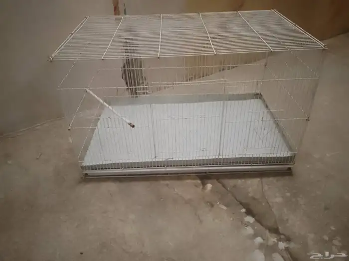 قفص حيوانات 3