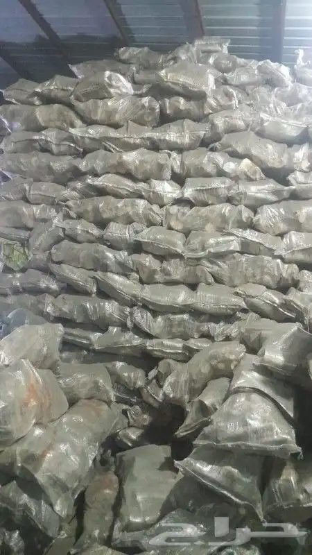 حطب سمر أفريقي ممتاز . 3