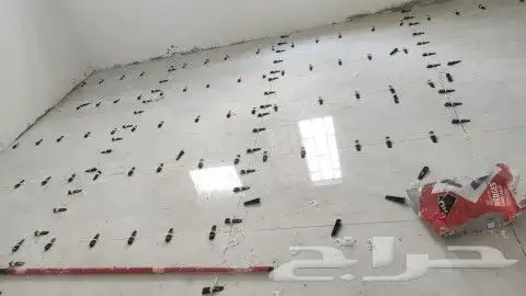 مبلط مصري ابو عريش 7