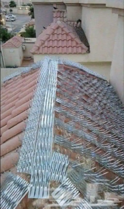 شركة تنظيف خزانات وعزل خزانات ومكافحة حشرات بجدة مع الضمان 8