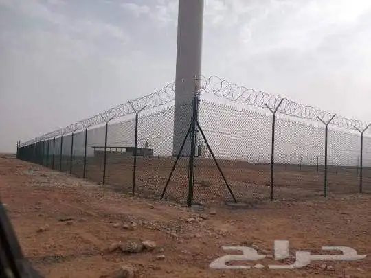 جميع اعمال النخيل الواشنطن والعربي وانواع الشبوك والسياج.. 4