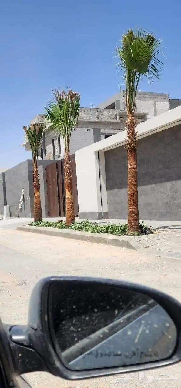 جميع اعمال النخيل الواشنطن والعربي وانواع الشبوك والسياج.. 7