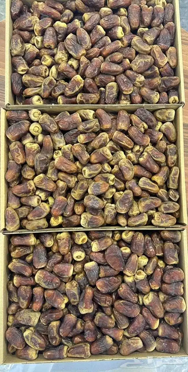 تمر برني العيص من المدينة المنورة 0