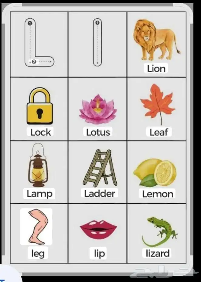 مدرس لغة انجليزية الواحة 1