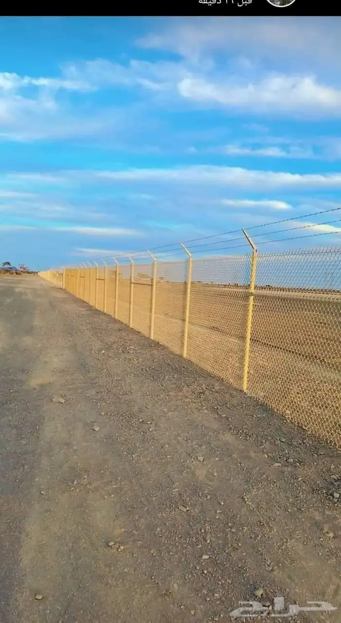 جميع اعمال النخيل الواشنطن والعربي وانواع الشبوك والسياج.. 8