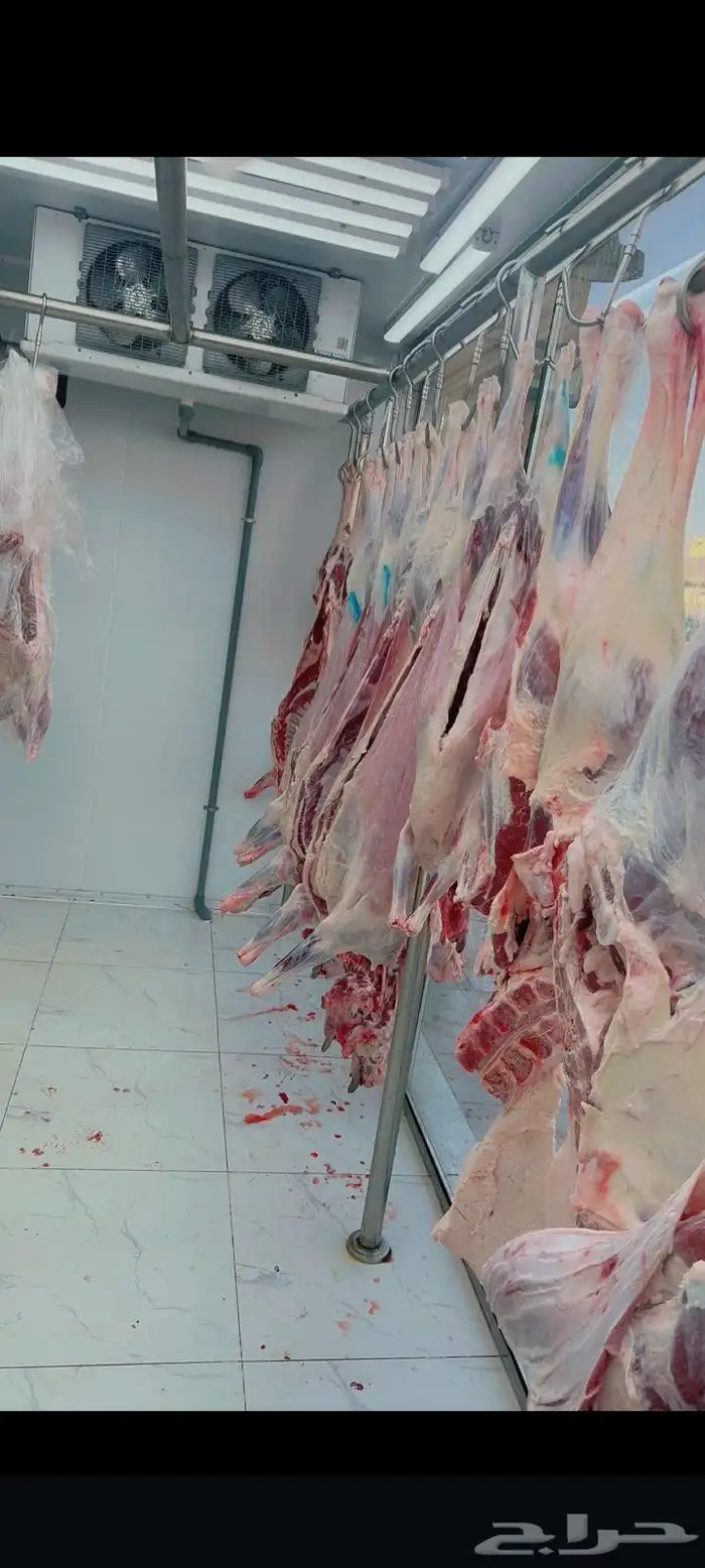 معلم ملحمه 0