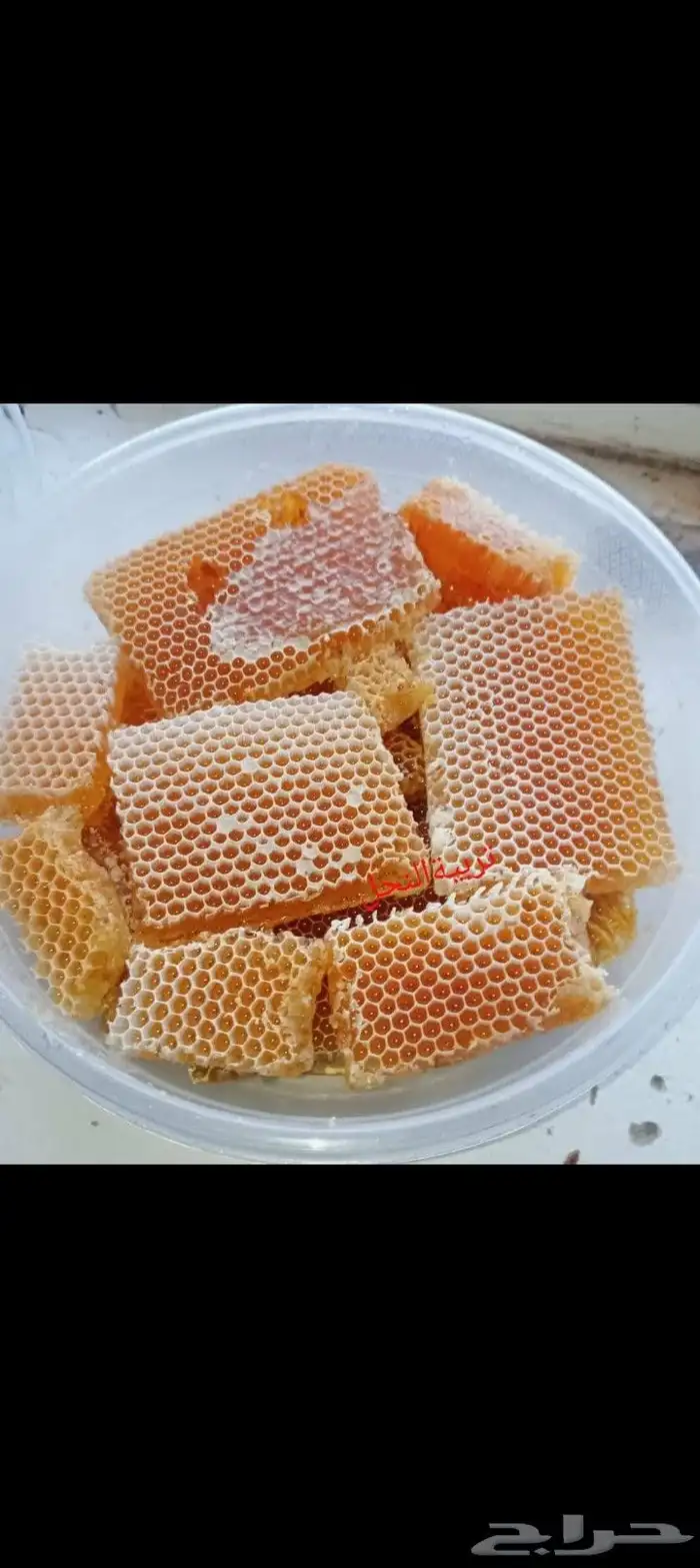 عسل يمني مراعي قروف سدر 0