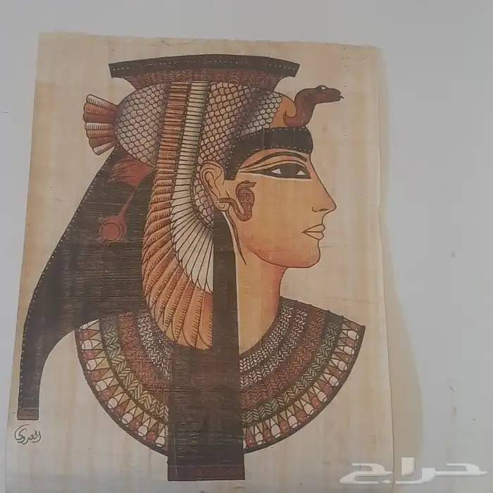 المتحف المصرى الكبير 16