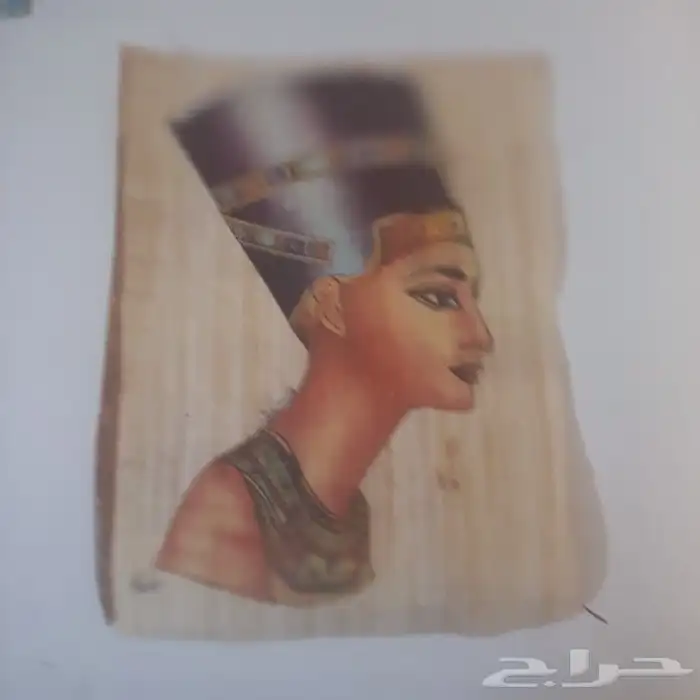 المتحف المصرى الكبير 0