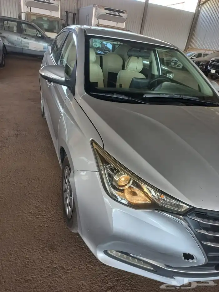 شنجان ال سفن 2023 5