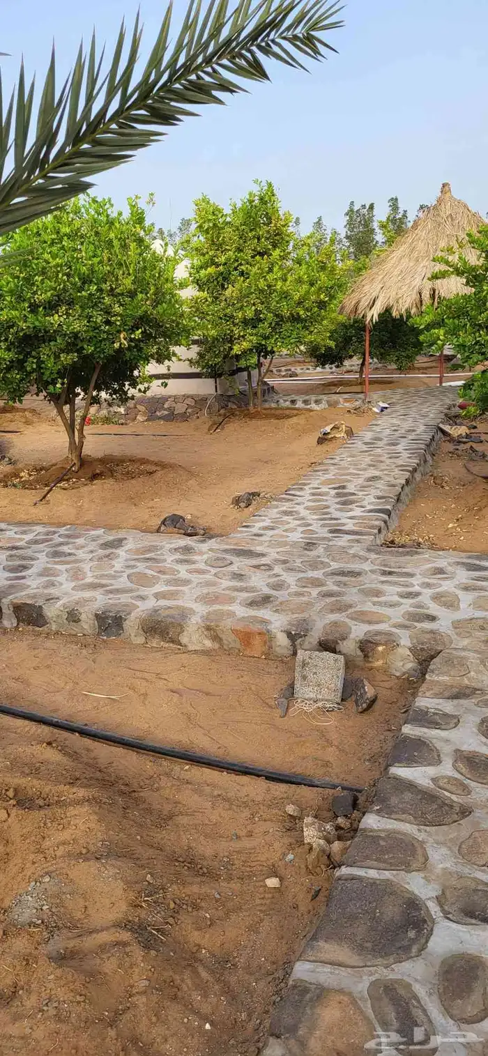 معلم حجر ربراب جدران ممرات ارضيه تلبيسات 7