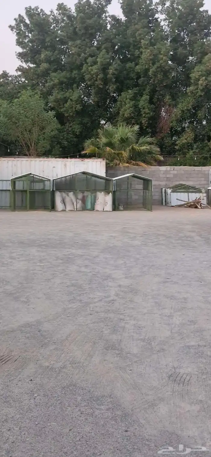 اعلاف ولوازم الاغنام والطيور 3