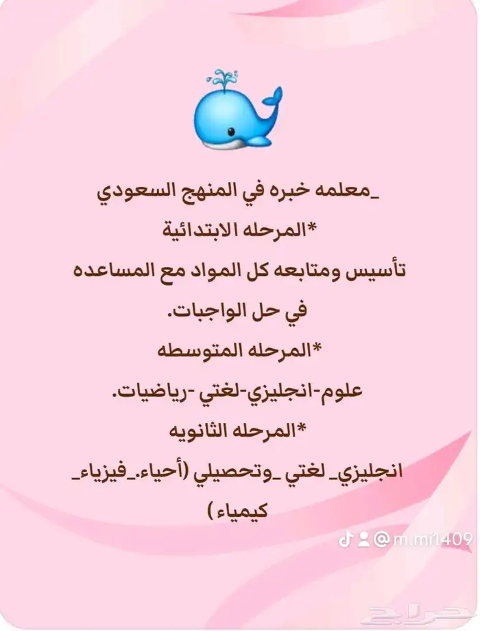 خميس مشيط..التحليه 0