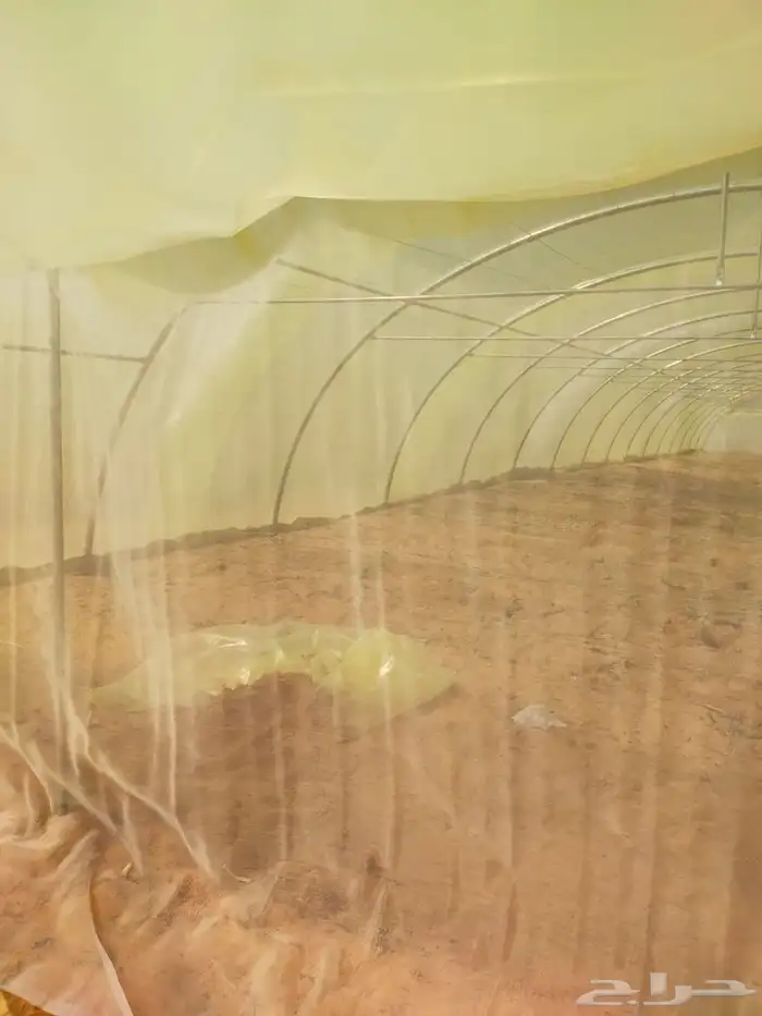 بيع وتركيب بيوت محمية وصالات زراعية بالسعودية 3
