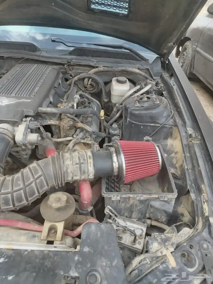 موستنج 2008 جيتي V8 قير عادي نظيفة 8