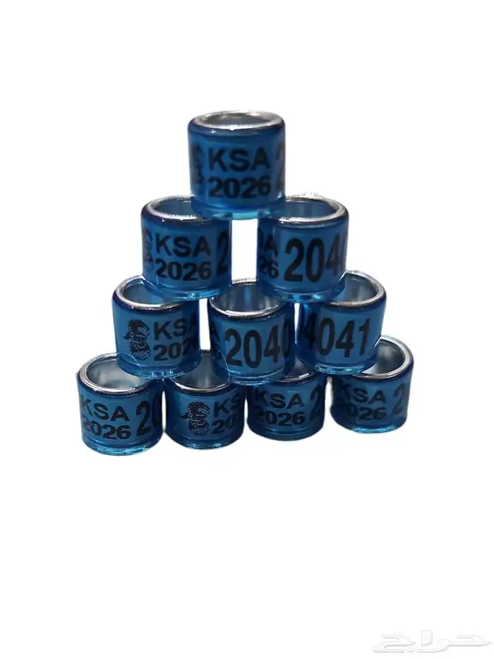 حجول الاتحاد السعودي 2026 0