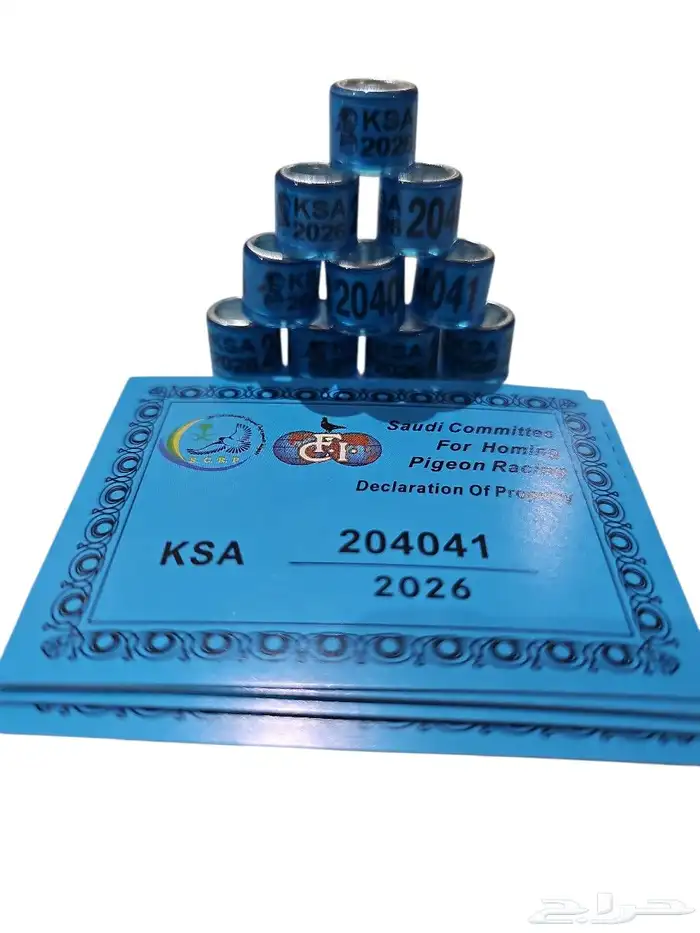 حجول الاتحاد السعودي 2026 1