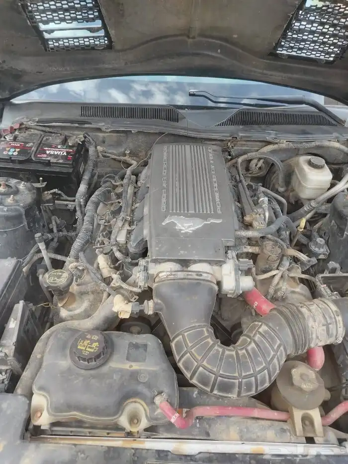 موستنج 2008 جيتي V8 قير عادي نظيفة 7