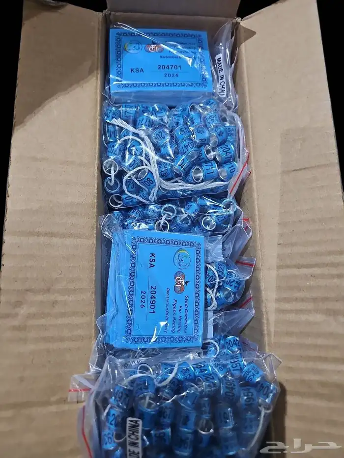 حجول الاتحاد السعودي 2026 2