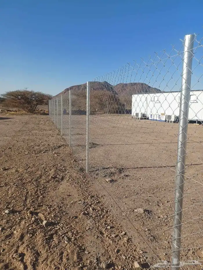 مقول نخل وشبوك 3