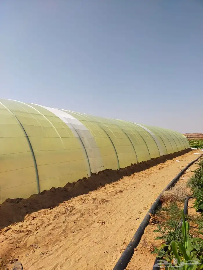 بيع وتركيب بيوت محمية وصالات زراعية بالسعودية 1