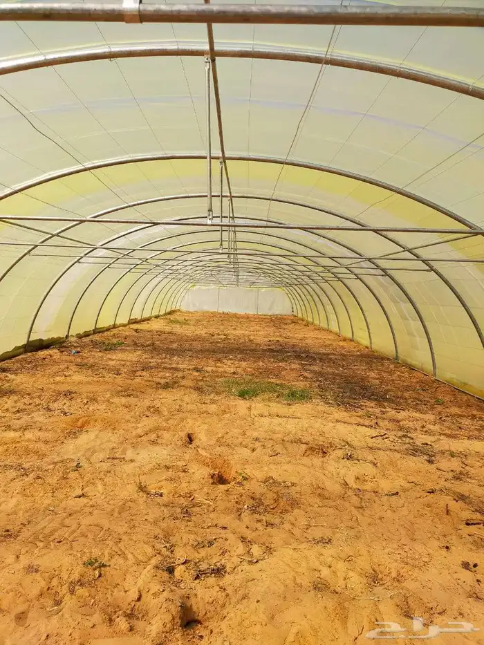 بيع وتركيب بيوت محمية وصالات زراعية بالسعودية 0