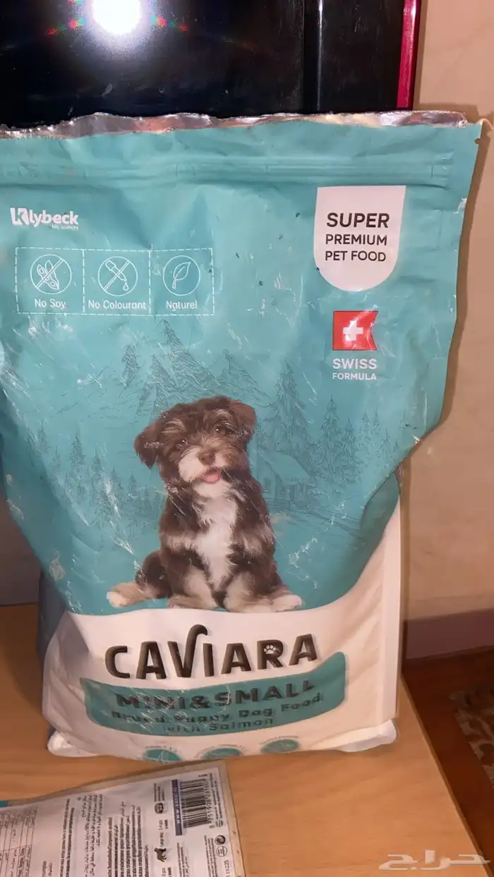 كلب للتبني 2