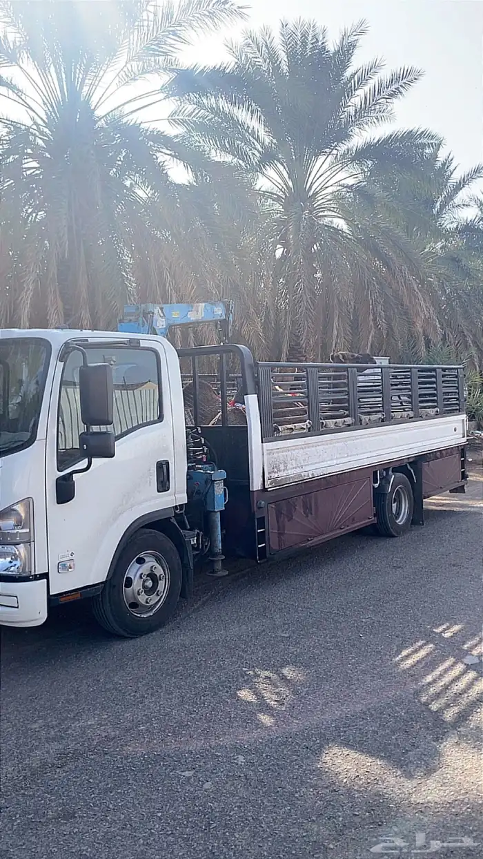 دينا طالعه من المدينه الى العلا وراجع 0