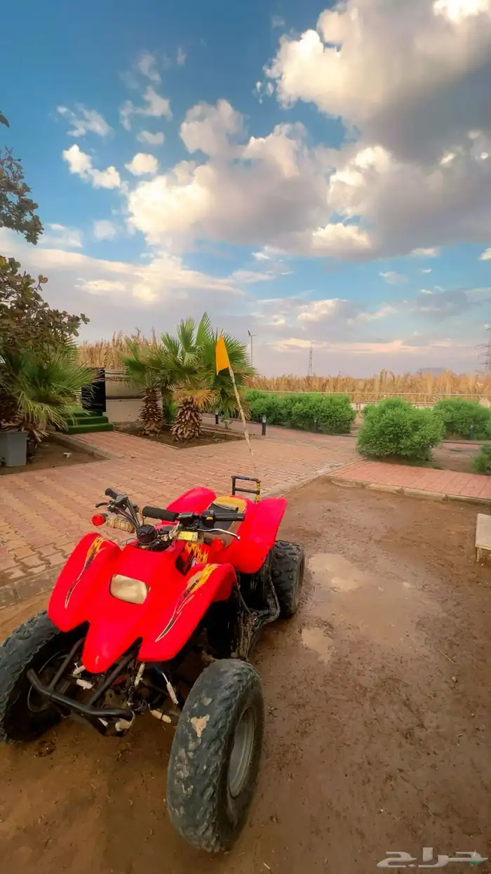 ايواء اسطبل مشعل طيبة ( الجرف) 13