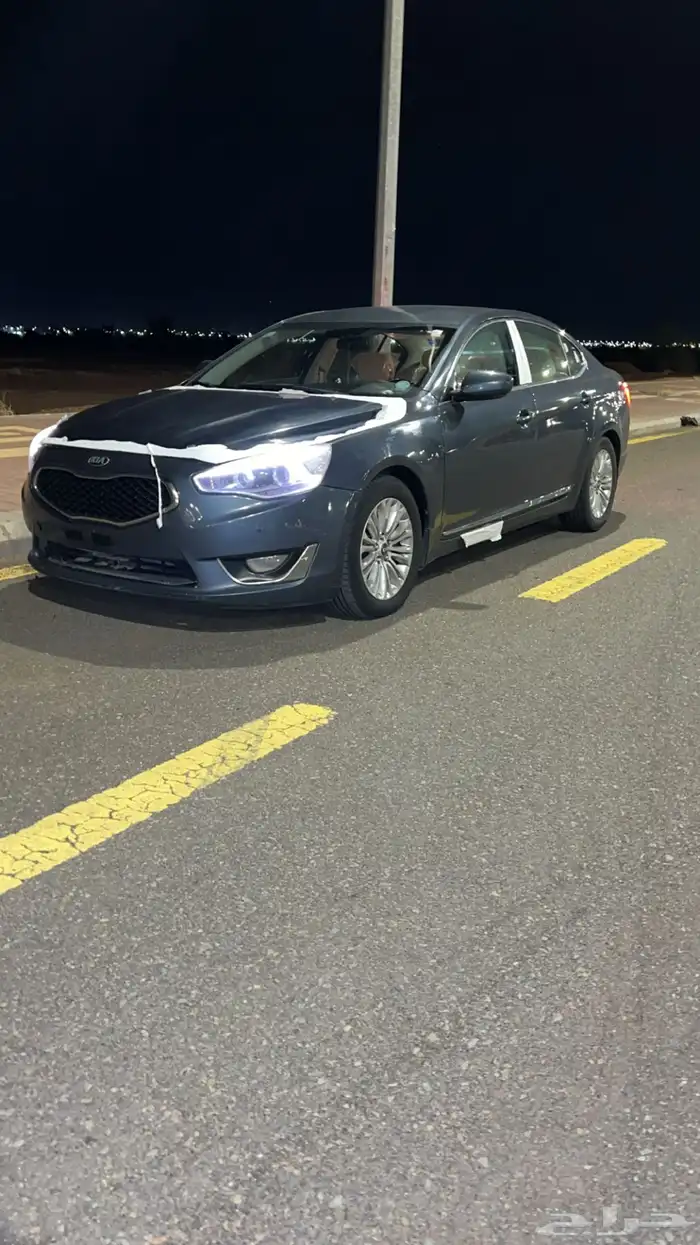 كادينزا 2015 12