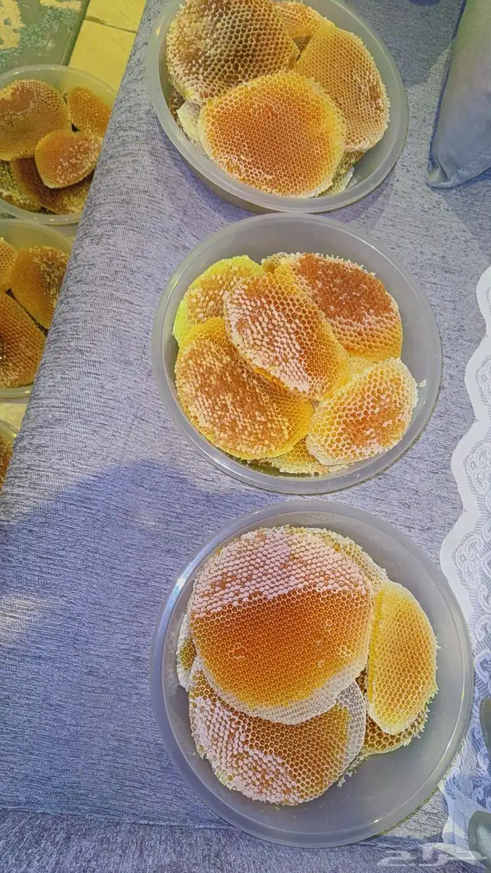 عسل سدر بلدي قص امس 1