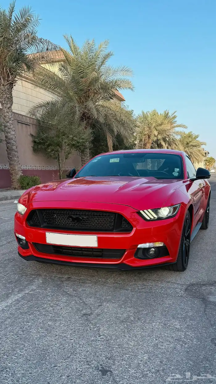 موستنج 2015 GT ممشى قليل 1