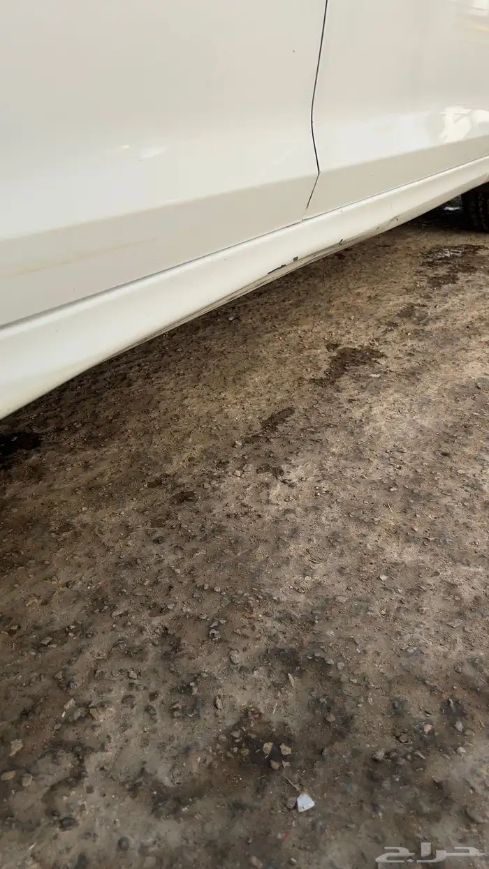 اكسنت 2020 ستاندر 147 ممشا 8