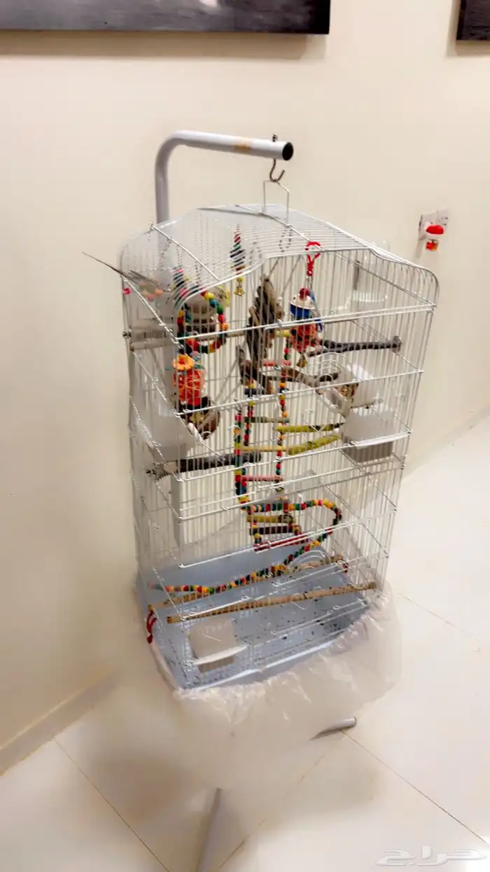 كروان اليف وهدد داخلي 0