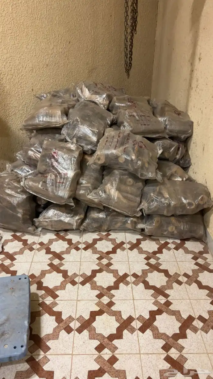 فحم رويال وحطب سمر 1