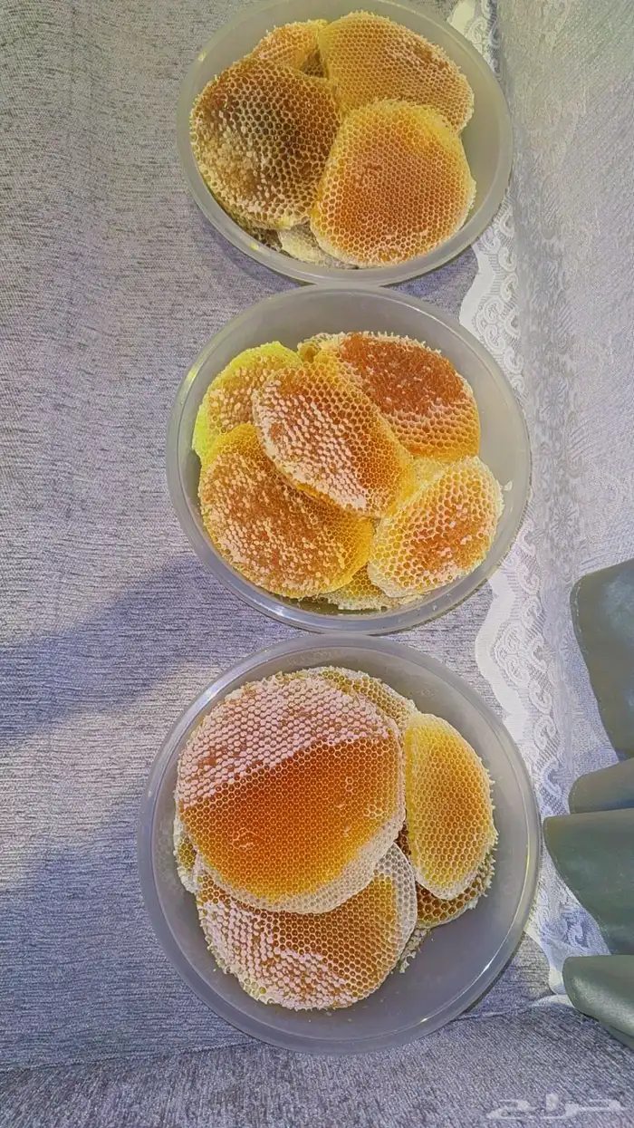 عسل سدر بلدي قص امس 2