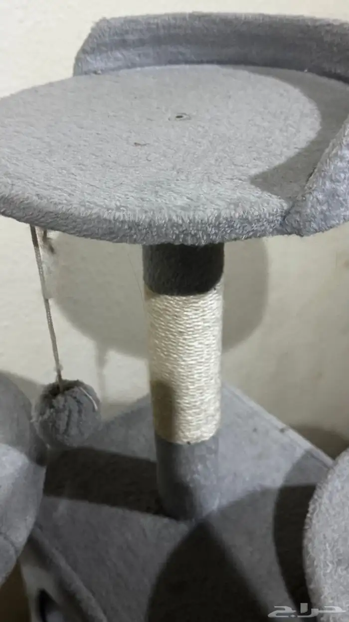 بيت قطط كبير 4