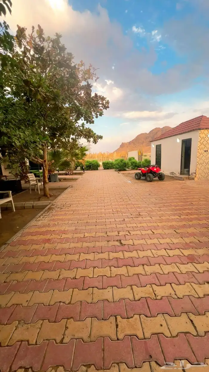 ايواء اسطبل مشعل طيبة ( الجرف) 14