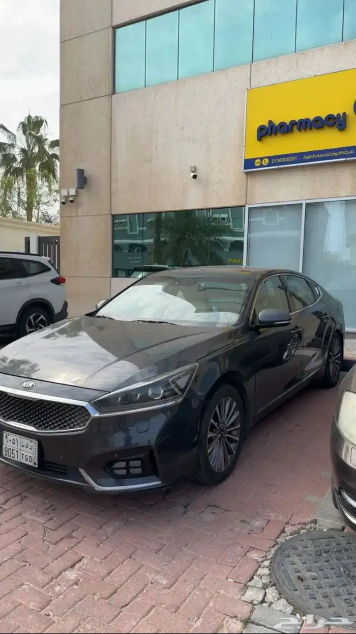 كادينزا 2020 مالك اول 6