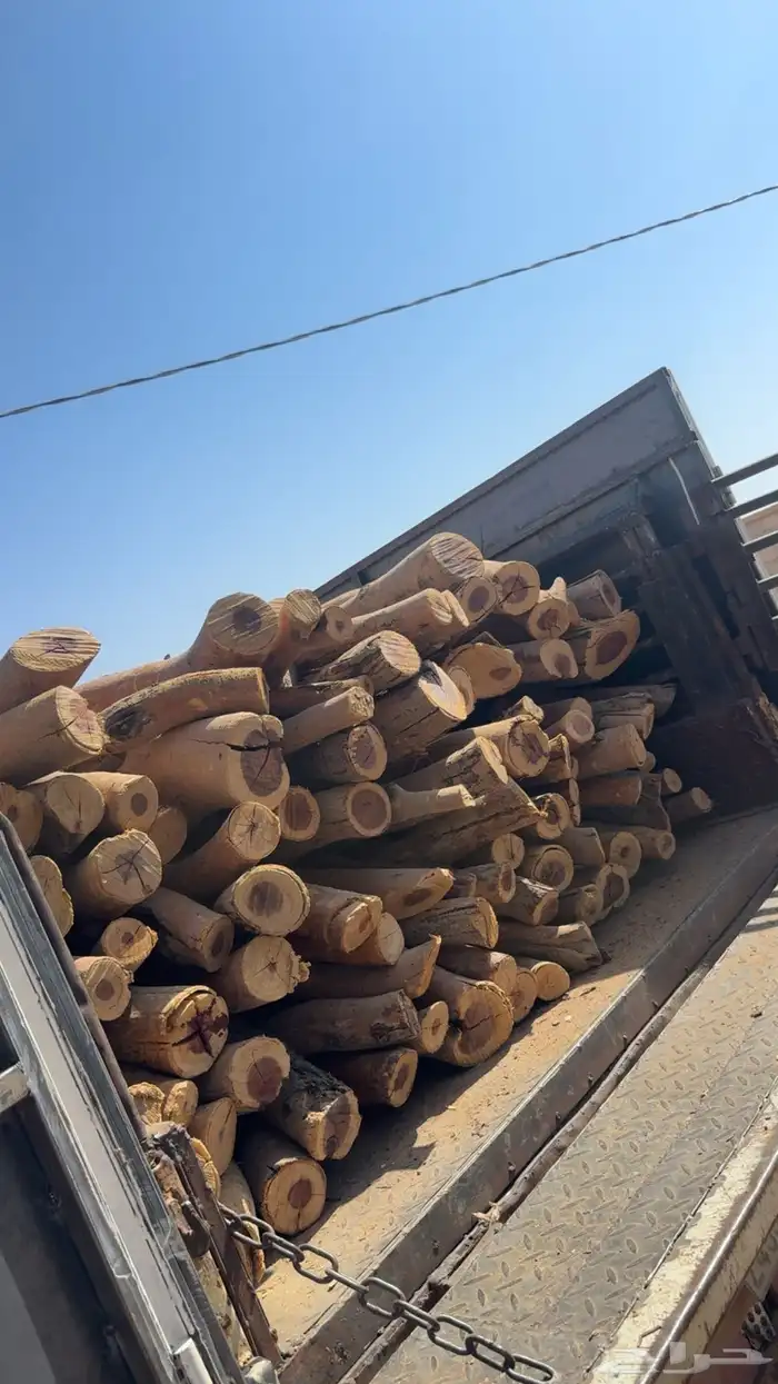 رياض الخبراء 3