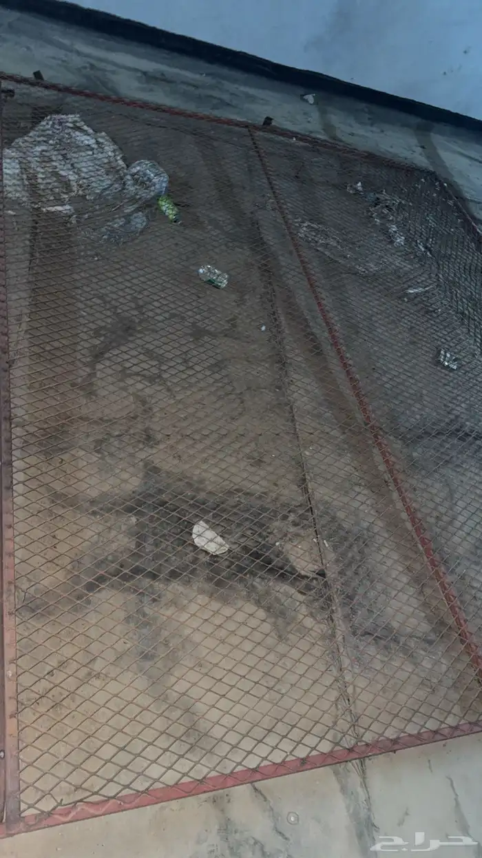 قفص حمام لي البيع 2