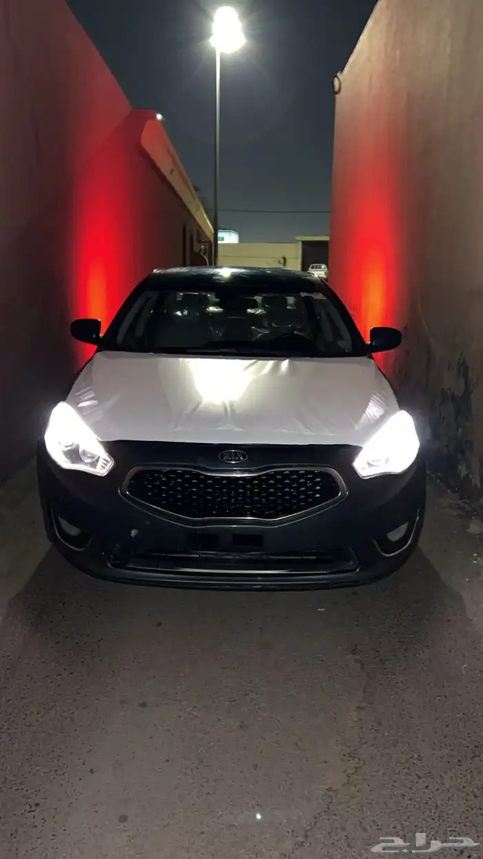 كادينزا 2015 13