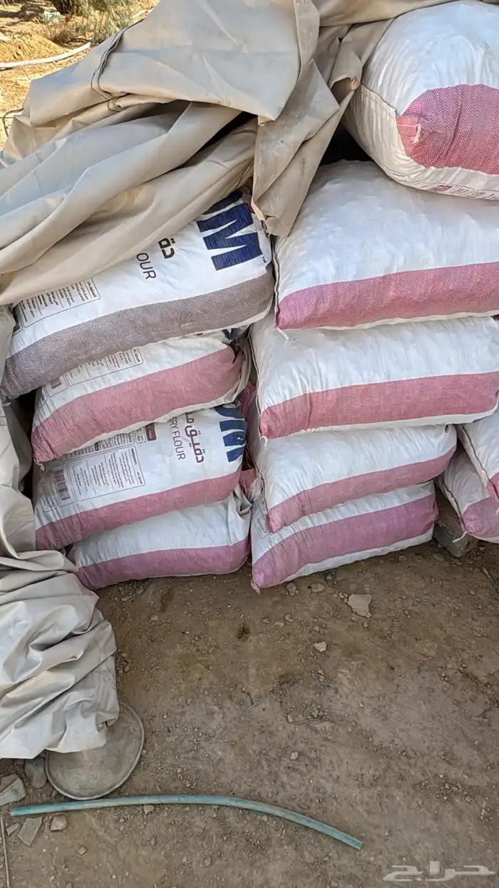 عجين طحين علف 1